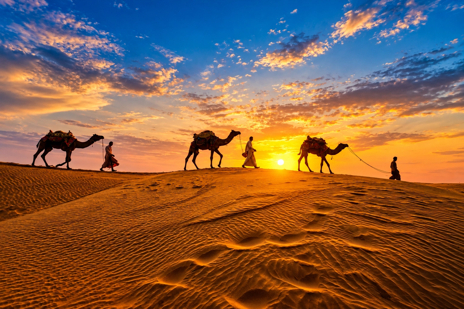 Camel caravan crossing the golden sand dunes of Jaisalmer at sunset